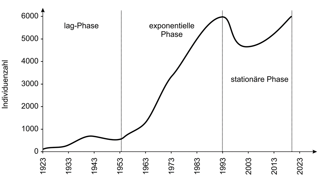 Diagramm der Individuenzahl 1923-2023 mit lag-, exponentieller und stationärer Phase.